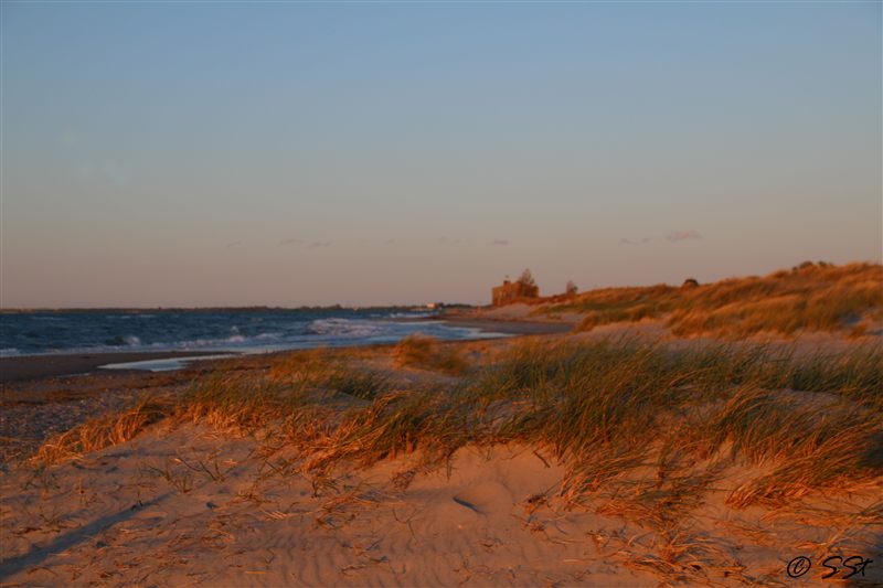 Strand und Dünengras im goldenen Abendlicht