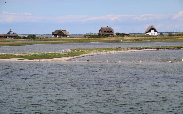 Wasserfläche mit Blick zum Graswarder
