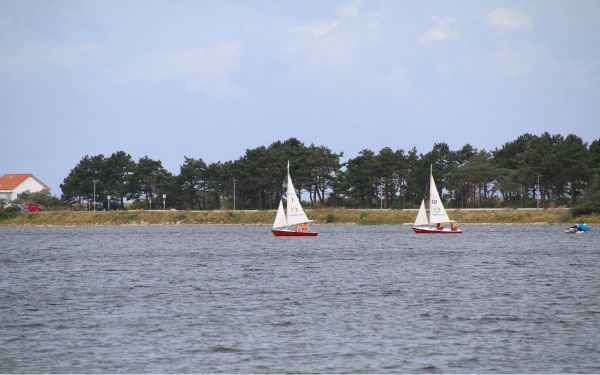 Zwei Segelboote vor einer Küstenlinie mit Bäumen