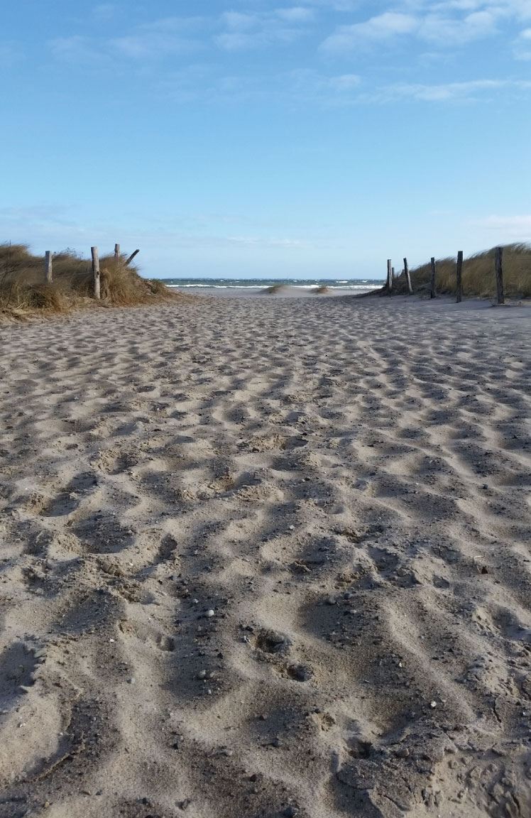 Sandiger Weg durch die Dünen