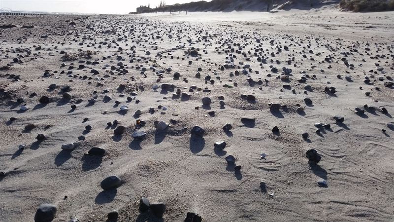Sandstrand mit Steinen und Spuren